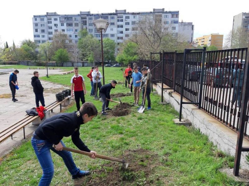 Ученици засадиха дръвчета в двора на ОУ