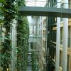 European Parliament