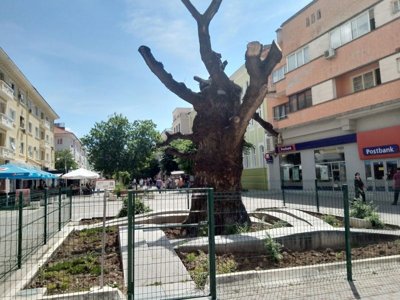 Сливен, кратки вечерни новини, 28.05.2019 г., вторник