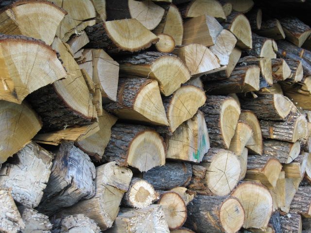 Община Сливен и тази година ще подпомогне хора с увреждания с предоставяне на дърва за огрев