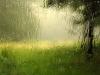 44 литра на квадратен метър дъжд падна в Сливен
