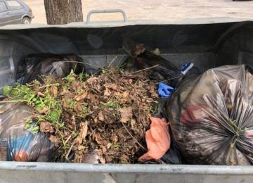 Ден на добрите дела