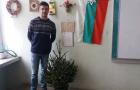 Жива елха за празниците