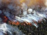 Пожари в в Cибир и Дaлeчния изтoк 