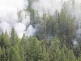 Опустошителните пожари в Сибир
