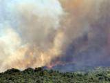 Пожарът край хасковските села Родопи, Любеново и Брягово е локализиран