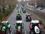 5000 трактора и 10 000 фермери  се включат в днешните протести