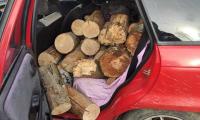 Установен е случай на незаконен добив и превоз на дърва. 