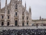  Гълъби на пустия площад пред катедралата в Милано - 9 март 2020 г.