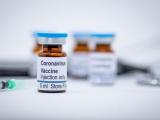 В търсене на ваксина срещу коронавируса
