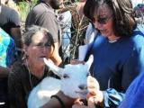 Корнелия Нинова: Виновниците за избитите стада в Странджа трябва да понесат своята отговорност
