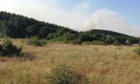 60 горски служители от ЮИДП-Сливен се включиха в борбата с големия пожар  край Свиленград