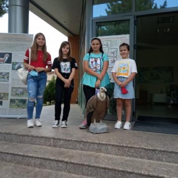 Международен ден на лешоядите