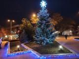 Коледната елха в Сливен