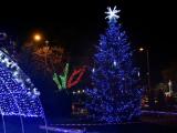 Коледната елха в Сливен