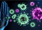 Как работи вашата имунна система?