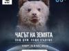 Chasut na zemqta