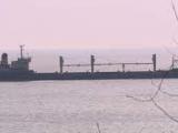 “Царевна” са блокирани втори месец в украинското пристанище Мариупол.