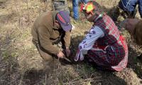 Над 100 дръвчета залесиха ученици и горски за по-зелено бъдеще на България  
