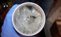 Над 20 дози марихуана и други наркотични вещества са иззети при операция на полицията в Нова Загора 