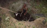 Екип на РСПБЗН –Сливен е извадил крава, паднала в шахта с сливенското село Сотиря