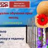 рцир