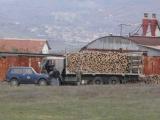 Забранява се износът на необработена дървесина за три месеца 