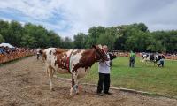 Над 620 елитни животни и повече от 10 000 посетители  събра XVI-то Национално животновъдно изложение Сливен 2020 