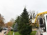 На големия празник Никулден - 6 декември, в Сливен ще грейнат светлините на коледната елха