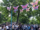 В градския парк на Момчилград бе отбелязан денят Арифе, който мюсюлманите честват в навечерието на един от най-големите мюсюлмански празници – Курбан байрам.