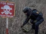 "Хюман райтс уоч": Украйна да спре да използва забранени противопехотни мини срещу руските войски