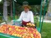 В сливенското село Гавраилово се подготвят за двадесет и първото издание на празника „Златна праскова“