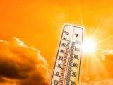Жълт код за високи температури в 21 области в страната