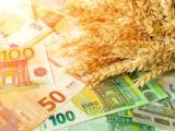 Забраната за внос на зърно от Украйна да бъде прекратена 