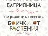 Работилница - багрилница с бои от растения се организира в Сливен