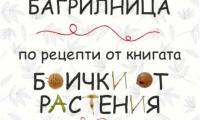 Работилница - багрилница с бои от растения се организира в Сливен