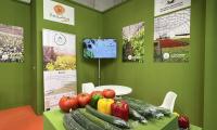 Първокласни пресни зеленчуци от слънчева България на цветен щанд в Мадрид