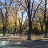 Времето за 04.11.2023 г.