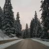 Заснежен път