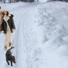 Времето за 29.01.2024 г.