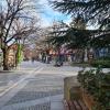 Времето за 04.02.2024 г.