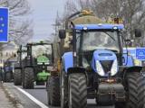 Фермерските протести обхванаха цяла Европа и вече не са мирни