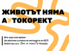 Под надслов „Животът няма „аУтокорект“ „Как се пише?“ започва публикуване на задачи и правила в първото по рода си дигитално помагало за зрелостници.