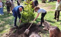 В Котел се проведе залесителна акция по случай Седмицата на гората