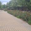 Времето за 01.05.2024 г.
