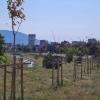 Времето за 30.07.2024 г.