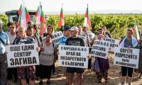 Стотици лозаро-винари блокираха ключов път в района на Бургас в знак на протест