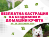 Община Нова Загора стартира кампания за безплатна кастрация на бездомни и домашни кучета