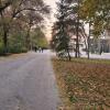 Времето за 12.11.2024 г.