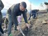 Въпреки силния вятър, много хора се включиха в акцията по залесяване на Бармук баир в Сливен
